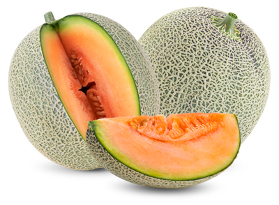 Cantaloupe melon isolated on white