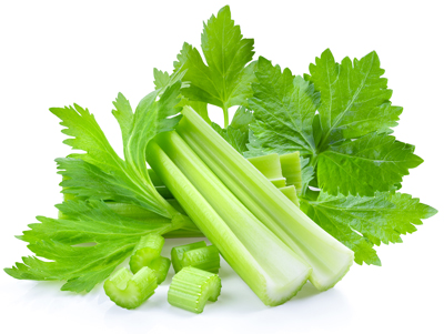Fresh celery isolated on white background