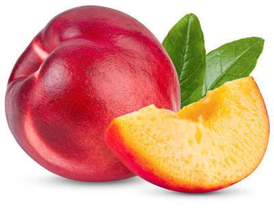 Nectarine isolated