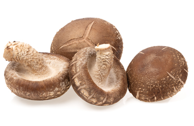 Shiitake Mushroom isolated on white