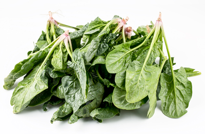 Green fresh organic spinach on the white background