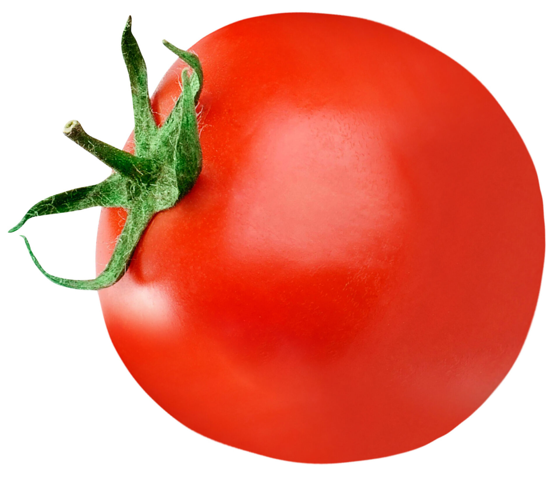 one fresh red tomato isolated
