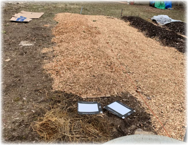 cardboard-woodchips